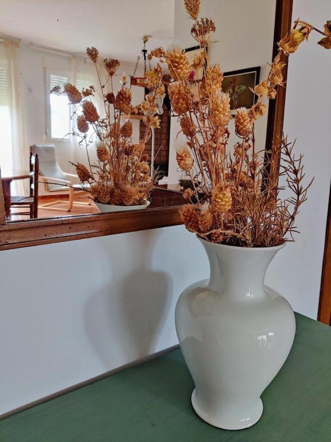 Apartamento Rural El Vidre Vt-42035-Cs Vistabella del Maestrat Extérieur photo